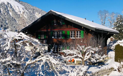 Träumli: Cielo, Nieve, Casa, Paisaje Natural, Pendiente, Montaña, Madera, Paisaje, Edificio, Planta