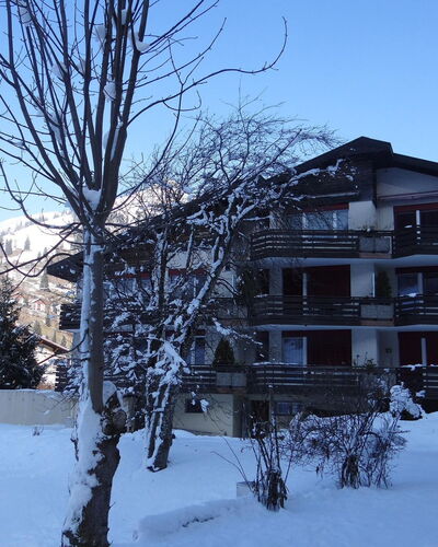 Birkenstrasse 56