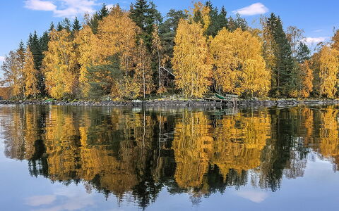 Kärkimökki: Árbol, Banco, Casa, Cabaña, Lago, Estanque, Bosque, Cuarto De Troncos