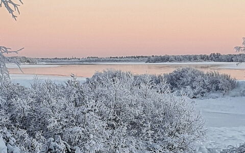 Pikkupöllö: Invierno, Rama, Nieve, Paisaje Natural, Ramita, Escarcha, Congelación, Hielo
