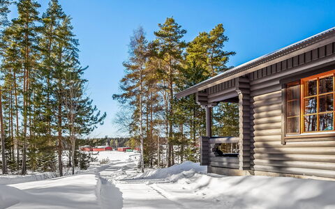 Marttalanmäki: Árbol, Nieve, Invierno, Madera, Cabaña, Congelación, Casa, Cuarto De Troncos, Alerce