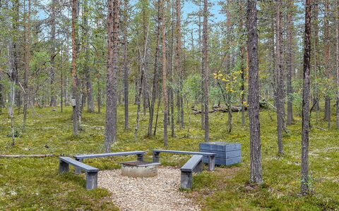 Aarrekammi: Madera, Cabaña, Cuarto De Troncos, Bosque, Cobertizo, Edificios Del Jardín, Alerce, Bosque, Manchas De Madera