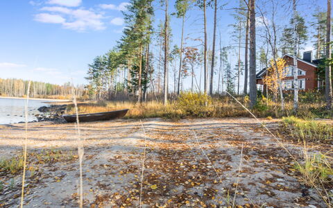 Telkkä: Madera, Cabaña, Cuarto De Troncos, Bosque, Cobertizo, Edificios Del Jardín, Alerce, Bosque, Manchas De Madera