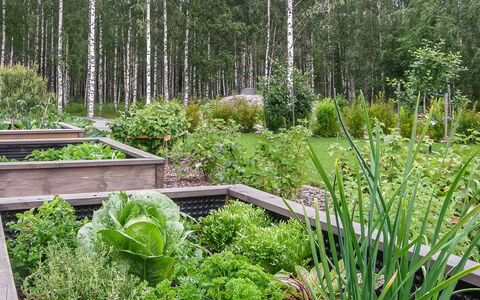 Villa Paasirinne a: Jardín, Arbusto, Planta De La Comunidad, Cobertura Del Suelo, Paisajismo, Planta Herbácea, Patio Interior, Jardín Botánico, Plantación