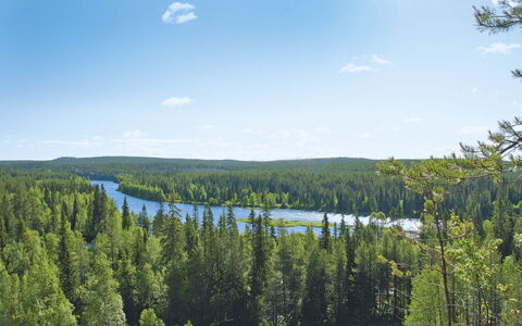 Keskiniemi: Nube, Cielo, Agua, Planta, Paisaje Natural, Lago, Alerce, Hojas Perennes, Corriente De Agua, Banco