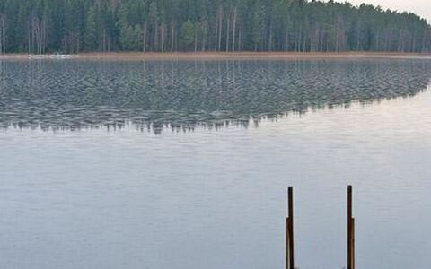 Kopinkallio 1: Árbol, Banco, Casa, Cabaña, Lago, Estanque, Bosque, Cuarto De Troncos