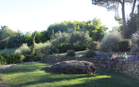 Gli Appartamenti Di Manuela: Hierba, Hoja, Vegetación, Arbusto, Jardín, Klippe, Planta De La Comunidad, Paisaje, Cobertura Del Suelo