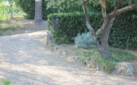 Gli Appartamenti Di Manuela: Planta, Superficie De La Carretera, Árbol, El Maletero, El Terreno Del Lote, Paisaje Natural, Asfalto, Cobertura Del Suelo, Arbusto, Hierba