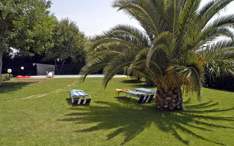 Poderino: Hierba, Árbol, Césped, Palmera, Vehículo, Arecales, Coche, Plantas Leñosas, Planta, Elaeis