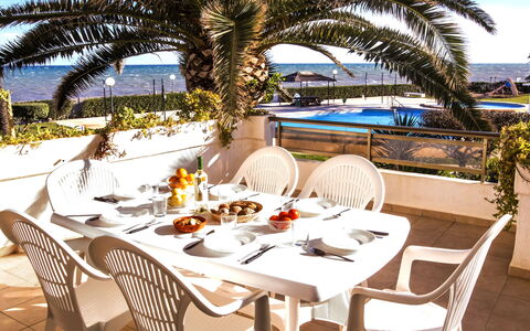 Laguna Beach Plus: Mesa, Planta, Mueble, Propiedad, Cielo, Silla, Vajilla, Árbol, Mueble Para Exteriores, Arecales
