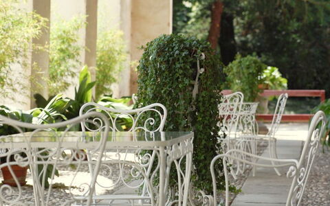 Ca' Marcello: Mueble, Silla, Planta, Mesa, Hierba, Habitación, Maceta, Jardín, Porche, Arbusto