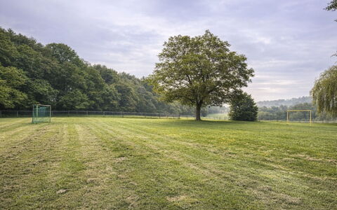 Bungalowpark Landsrade: Hierba, Árbol, Entorno Natural, Pradera, Llanura, El Terreno Del Lote, Prado, Campo, Césped