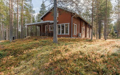 Kevätruska B