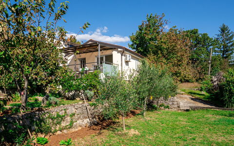 Silvana: Arbusto, Área Rural, Casa, Cabaña, Jardín, Primavera, Patio Interior, Sombra, Yarda, Inmuebles