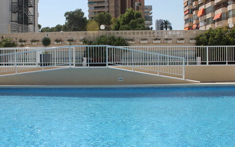 Benidorm 954: Piscina, Propiedad, Agua, Condominio, Edificio, Bienes Raíces, Departamento, Ocio, Vacaciones, Piscina De Reflejo