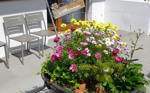 Chalet la Muntaniala: Flor, Maceta, Planta, Planta De Casa, Floristas, Planta Floreciendo, Planta Anual, Jardín, Arbusto, Diseño Floral
