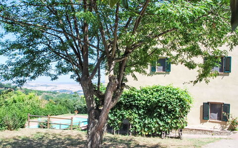 Podere Valle di Sotto: Árbol, Hoja, Rama, Primavera, Sombra