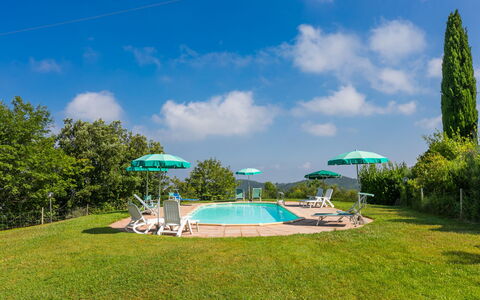 Poggio al Colle: Nube, Agua, Cielo, Propiedad, Planta, Árbol, Paisaje Natural, El Terreno Del Lote, Piscina, Cuerpo De Agua