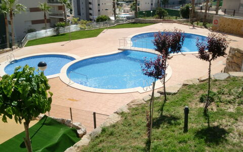 Torre Maestral: Agua, Planta, Propiedad, Edificio, Piscina, Árbol, Diseño Urbano, Hierba, Sombra, Barrio Residencial