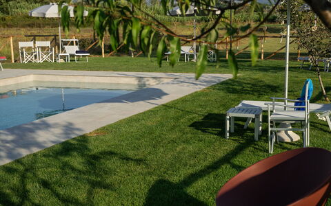 Incanto Toscano: Planta, Agua, Mueble, Silla, Sombra, Mueble Para Exteriores, Botánica, Árbol, El Terreno Del Lote, Hierba
