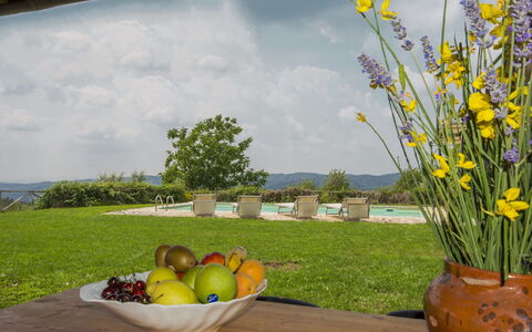 Villa la Piaggia: Amarillo, Flor, Hierba, Primavera, Planta, Maceta, Prado, Flor Silvestre, Paisaje, Paisajismo