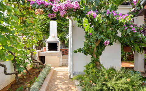 Vir 119: Flor, Planta, Propiedad, Edificio, Pétalo, Vegetación, Arquitectura, Arbusto, Bienes Raíces, Fachada
