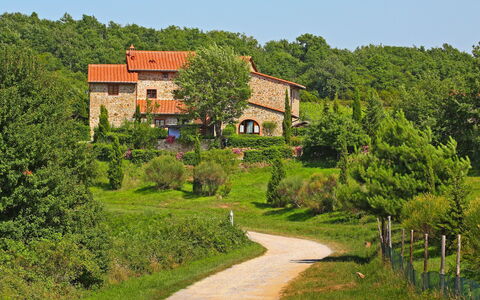 Gaiole in Chianti 880: Planta, Cielo, Edificio, Paisaje Natural, El Terreno Del Lote, Casa, Árbol, Cabaña, Hierba, Arbusto