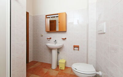 Alojamiento:&nbsp;Il Pettirosso N°7 880.5