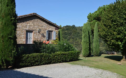 Compignano Barn: Propiedad, Casa, Casa, Árbol, Hierba, Arbusto, Edificio, Bienes Raíces, Jardín, Cobertura