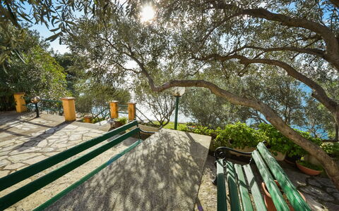 Alojamiento:&nbsp;Vukić 303.5