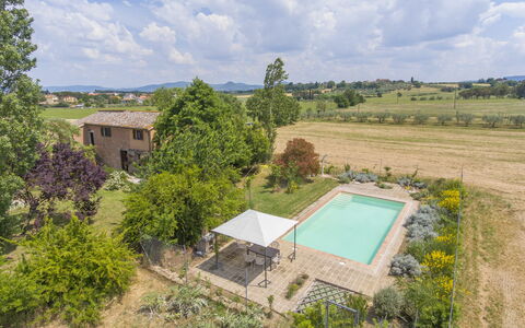Le Nuvole: Cielo, Nube, Planta, Propiedad, Planta De La Comunidad, Árbol, Edificio, El Terreno Del Lote, Piscina, Ventana