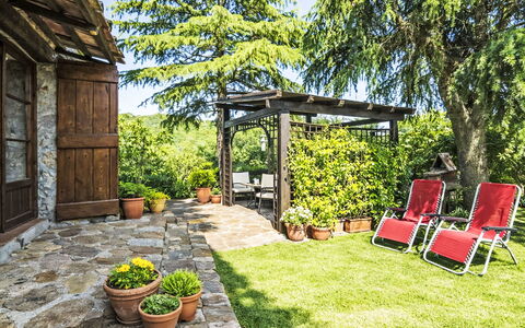 Il Casale: Jardín, Arbusto, Maceta, Mueble, Cobertura Del Suelo, Patio Interior, Sombra, Mueble Para Exteriores, Losa