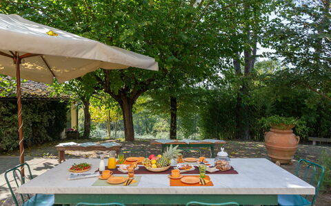 Casa La Rotta: Mesa, Patio Interior, Patio, Mueble, Bienes Raíces, Árbol, Ocio, Restaurante, Edificio, Casa
