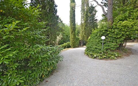 Villa Del Castagno: Vegetación, Árbol, Arbusto, Entorno Natural, Hoja, Paisaje Natural, Reserva Natural, Planta, Biome, Pasarela