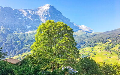Chalet Hobelbank - Grindelwald, Berna, Suiza