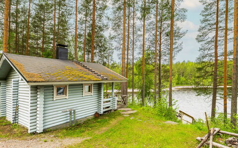 Kainalolahti: Árbol, Cabaña, Casa, Bosque, Bosque, Área Rural, Cuarto De Troncos, Alerce, Reserva Natural