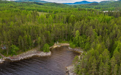 Kainalolahti: Árbol, Paisaje Natural, Bosque, Banco, Paisaje, Desierto, Alerce