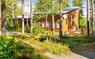 Pielislinna Loma-Koli