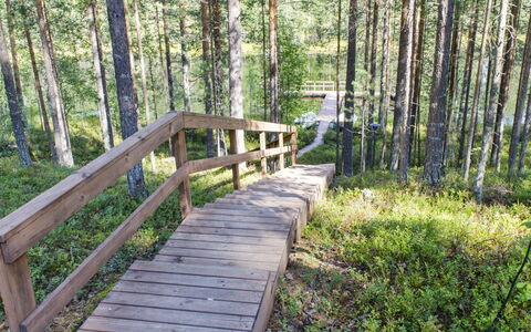 Otsopirtti, Otso: Madera, Cabaña, Cuarto De Troncos, Bosque, Cobertizo, Edificios Del Jardín, Alerce, Bosque, Manchas De Madera