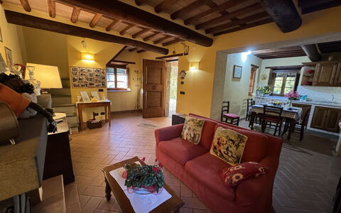 Batticapo di Ilaria: Propiedad, Sofá, Mesa, Mueble, Diseño De Interiores, Encendiendo, Sala, Marco, Sofá Cama, Madera