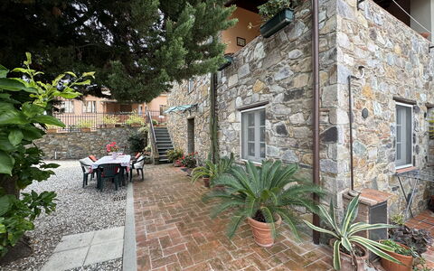 Casa Max: Planta, Propiedad, Maceta, Edificio, Ventana, Planta De Casa, Arquitectura, Superficie De La Carretera, Piso, Árbol