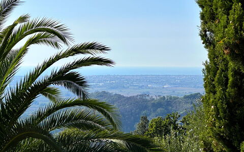 Borgo Bucatra Buonvento: Cielo, Paisaje Natural, Planta Terrestre, Vegetación, Arecales, Árbol, Paisaje, Planta, Palmera, Bosque