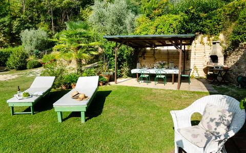 Podere L'istrice: Propiedad, Patio Interior, Yarda, Casa, Hierba, Jardín, Mueble, Césped, Paisajismo, Patio