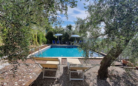 Podere San Martino: Agua, Piscina, Nube, Cielo, Sombra, Árbol, Planta, Paisaje Natural, Ocio, Paisaje