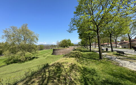 Alle Mura: Árbol, Hierba, Rama, Pradera, Llanura, El Terreno Del Lote, Cobertura Del Suelo, Prado, Jardín, Césped
