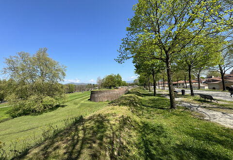 Alle Mura: Árbol, Hierba, Rama, Pradera, Llanura, El Terreno Del Lote, Cobertura Del Suelo, Prado, Jardín, Césped