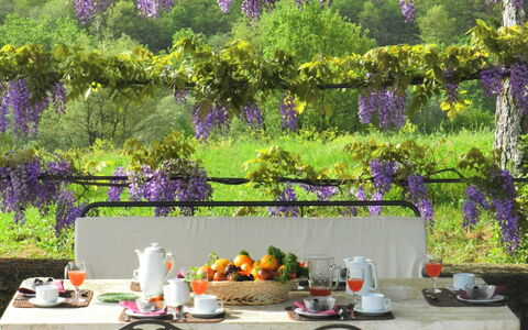 Villa Fabbri: Púrpura, Lavanda, Jardín, Lila, Primavera, Árbol, Planta, Flor, Mesa, Patio