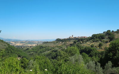 Paolotti