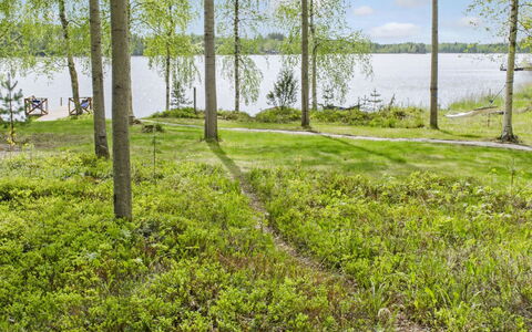 Honkaniemi: Madera, Cabaña, Cuarto De Troncos, Bosque, Cobertizo, Edificios Del Jardín, Alerce, Bosque, Manchas De Madera