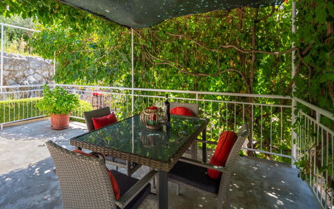 Jelena: Verde, Propiedad, Mesa, Habitación, Mueble, Hierba, Árbol, Planta, Casa, Arquitectura